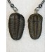 Naušnice z trilobita